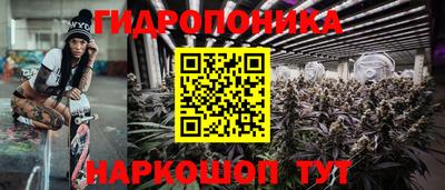 a pvp Шелехов