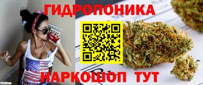 СК Шахты