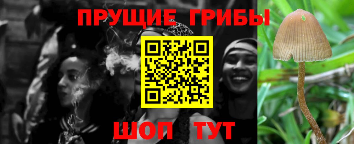 Псилоцибиновые грибы прущие грибы  Вход с VPN  Галлюциногенные грибы ЛСД  Елец 
